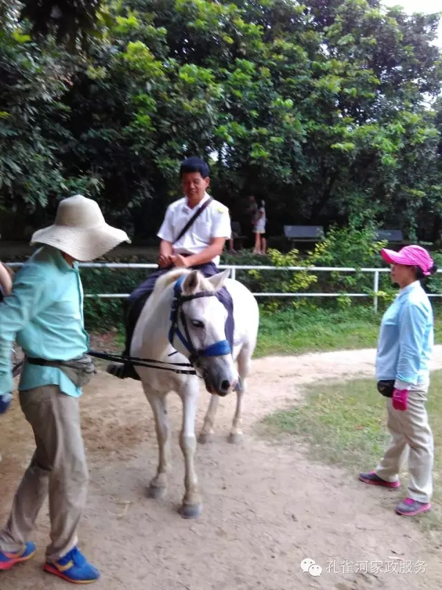 ���ҷ���׌��������á�2015��B�T�м�����(ji��)�����