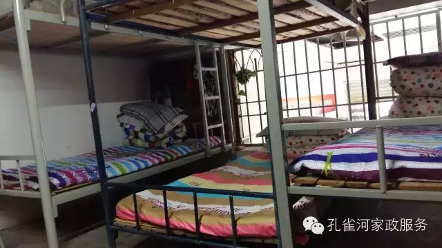 ��ȸ�Ӽ�����ķ������ů��ů��������