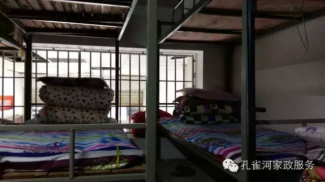 ��ȸ�Ӽ�����ķ������ů��ů��������