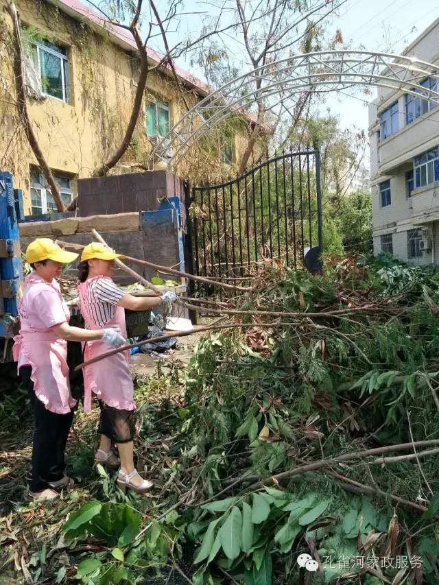 ��������y���������