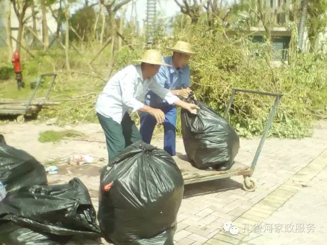 ��������y���������